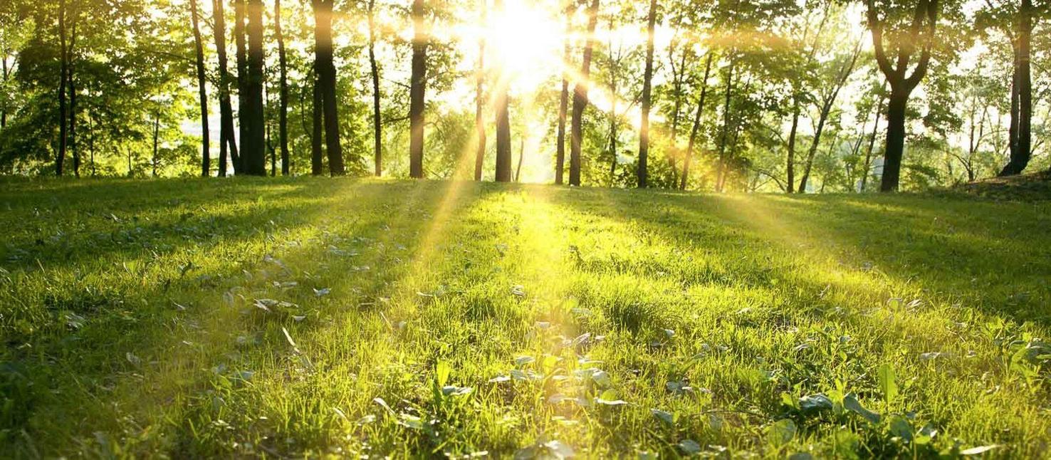 The October deer hunting lull — or not — Ramblin' Outdoors Sports