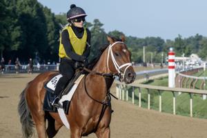 Renegade Reigns Supreme at Saratoga: A Promising Contender for the Travers Stakes