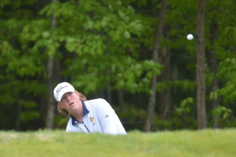 Cooper Patnode Saranac Lake golfers win Section VII crown | Adirondack Daily ...