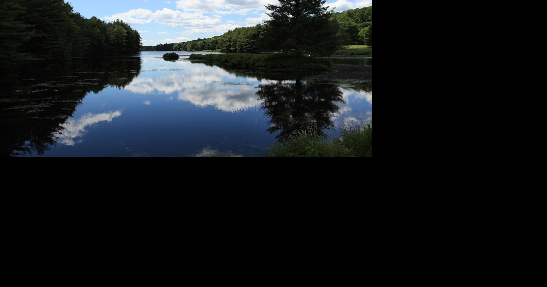 These experts are perfecting new strategies to make trees more ...