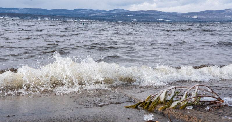 Walleye Challenge on iceless Great Sacandaga Lake in danger | News - Vimarsana News