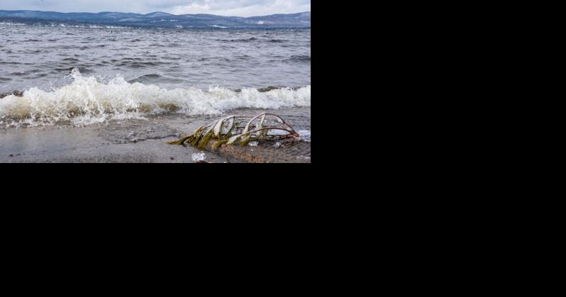 Walleye Challenge on iceless Great Sacandaga Lake in danger | News - Vimarsana News