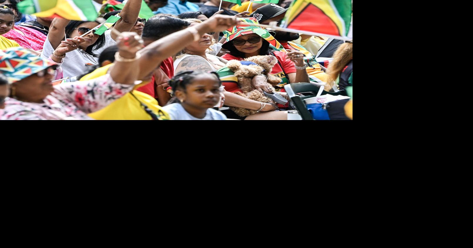 Photos: Schenectady's 7th annual Caribbean Day