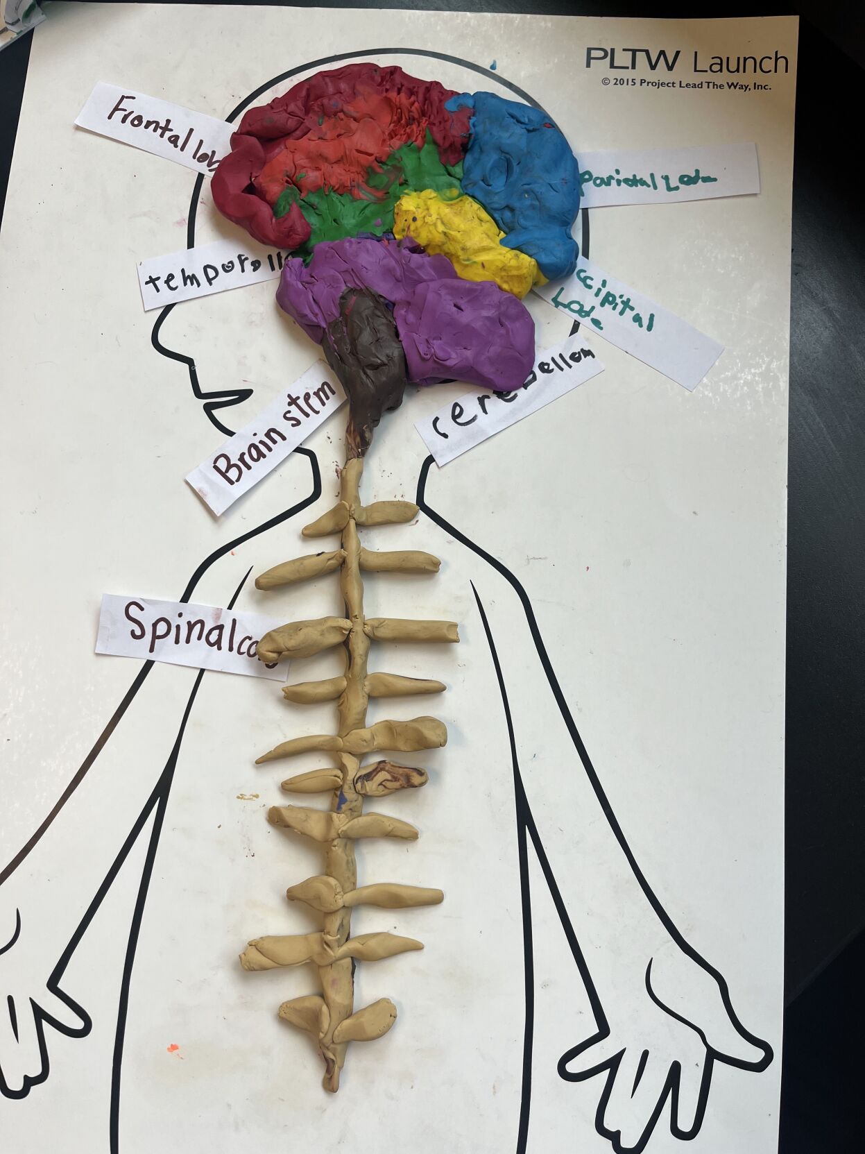 Images BroadalbinPerth Elementary honored (5 photos) Leader Herald