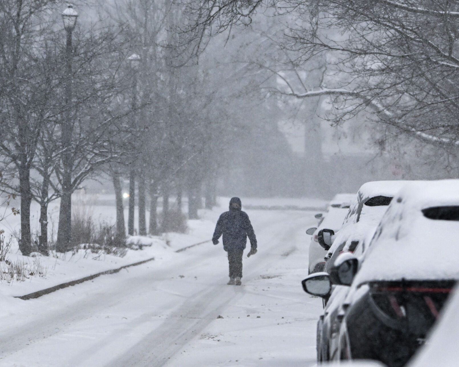 How much snow did we get National Weather Service numbers News