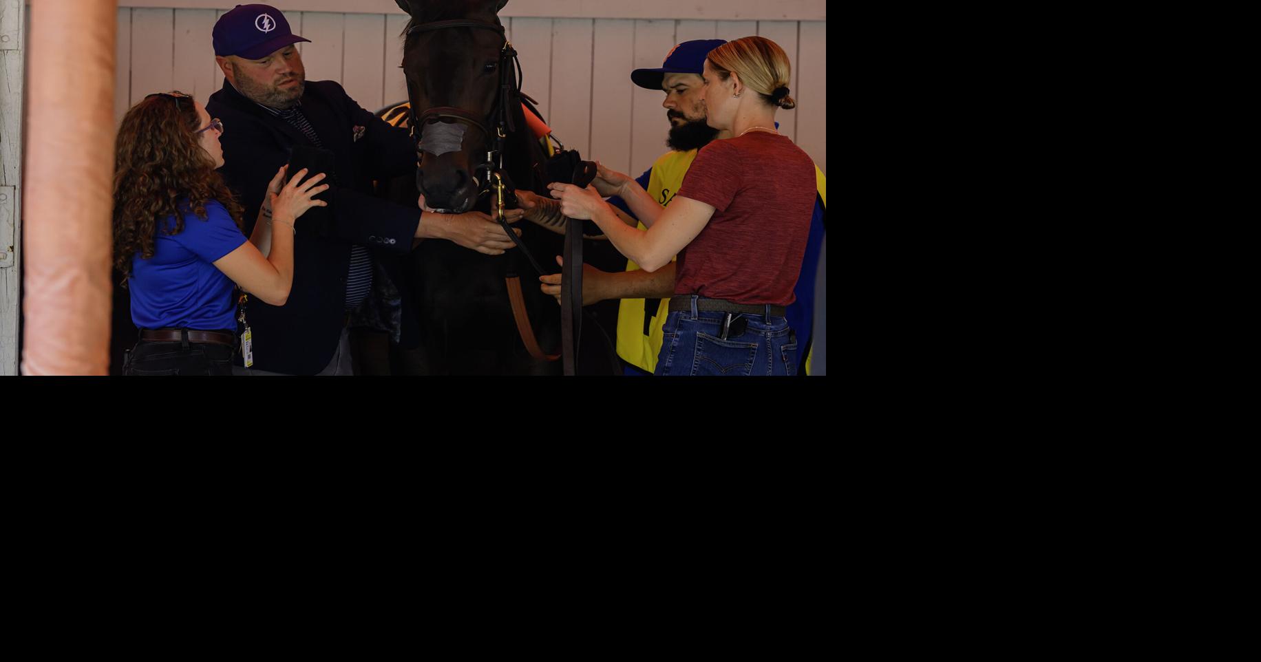 Strength or vibes: Saratoga insiders share how they bet on horses