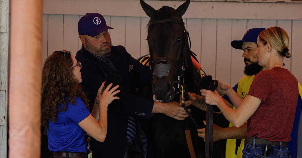 Strength or vibes: Saratoga insiders share how they bet on horses