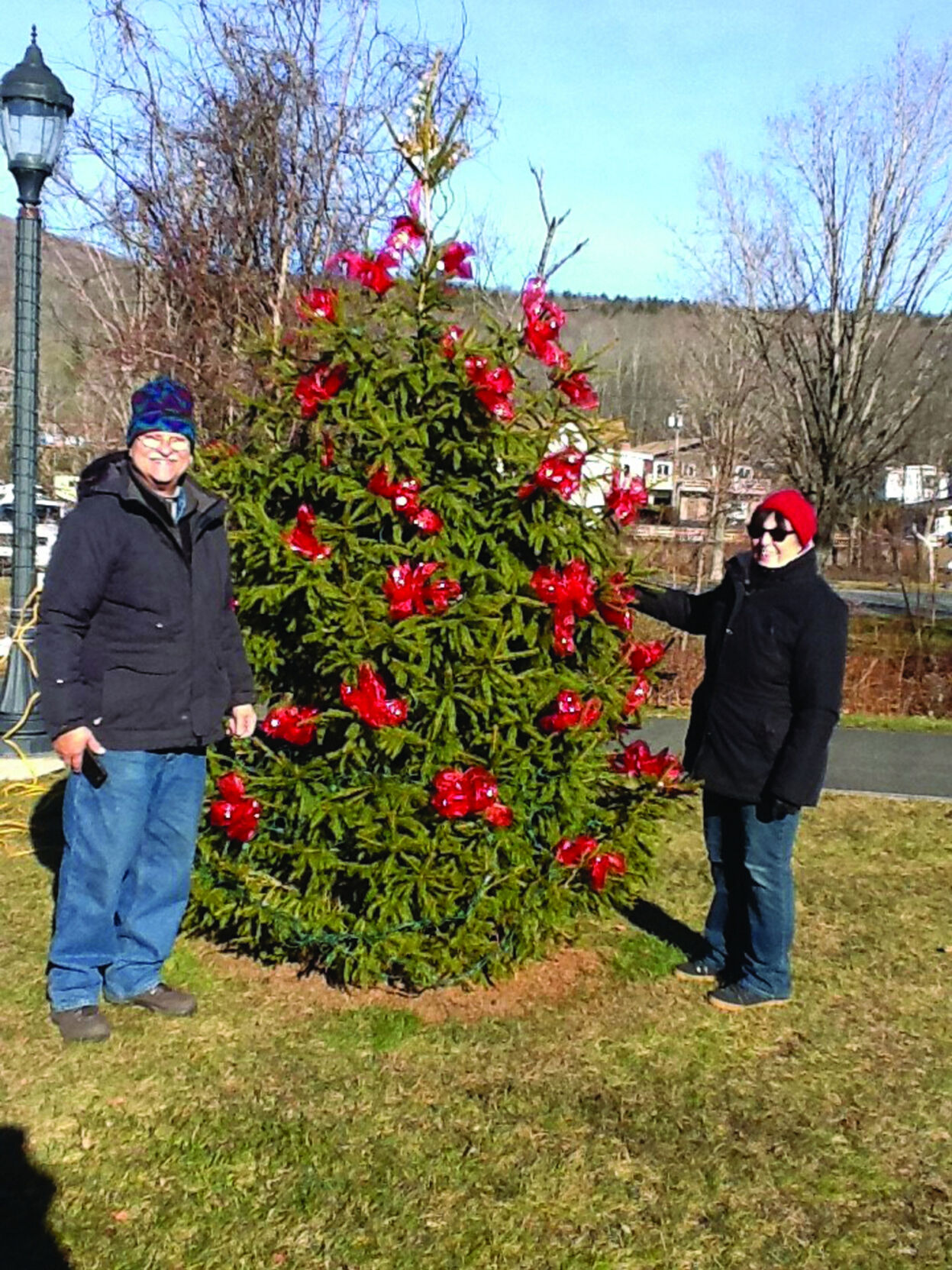 Village of Hunter Christmas Trees at Dolan Lake | Archives |  dailygazette.com, image size:1247x1663