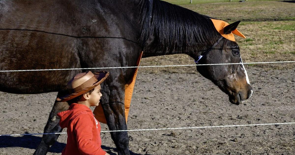 Photos: Hallo-Wellness event at Therapeutic Horses of Saratoga Oct 25, 2026 46 sec ago