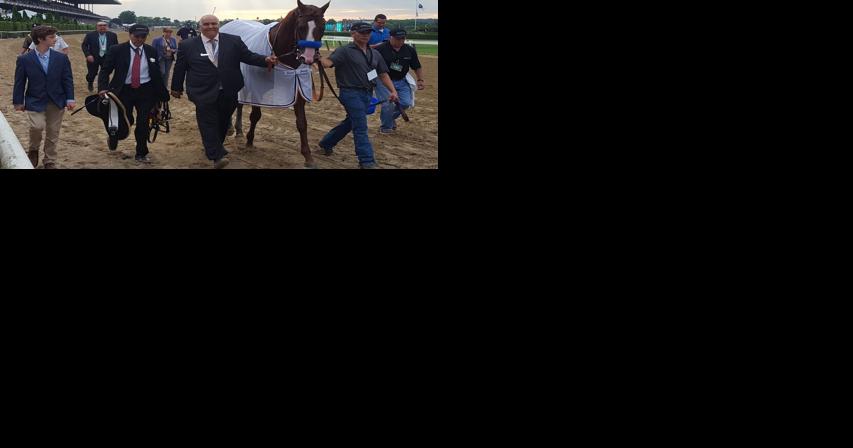 Justify, Gun Runner, Rosario named finalists for Racing Hall of Fame - Vimarsana News