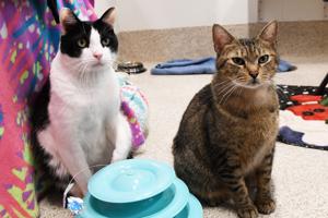 Looking ahead to a year of care, compassion and commitment