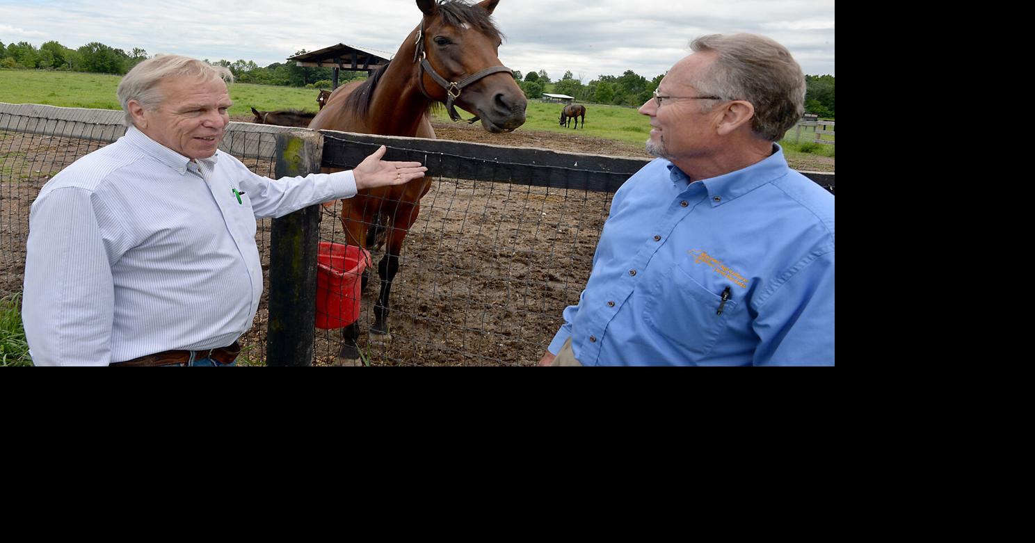 State ag chief gets up close look at area horse farms | News ...