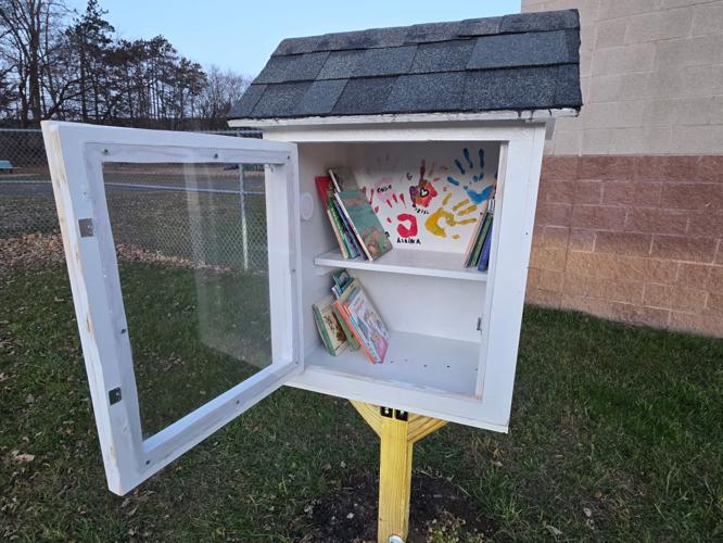 Little Roland Library Rotterdam Junction has a new free little library | Education ...