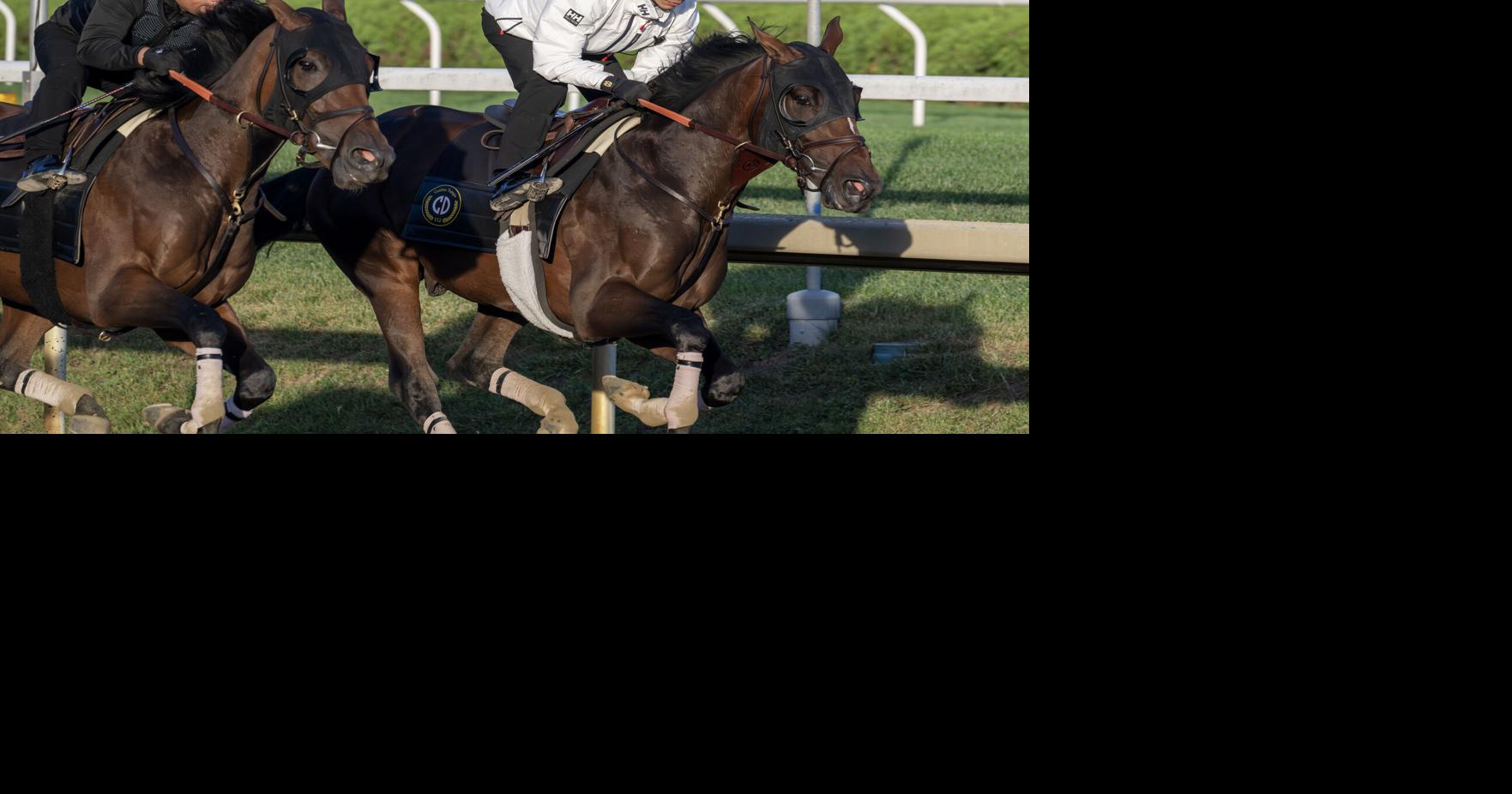 Golden Tempo slight Travers favorite over Renegade