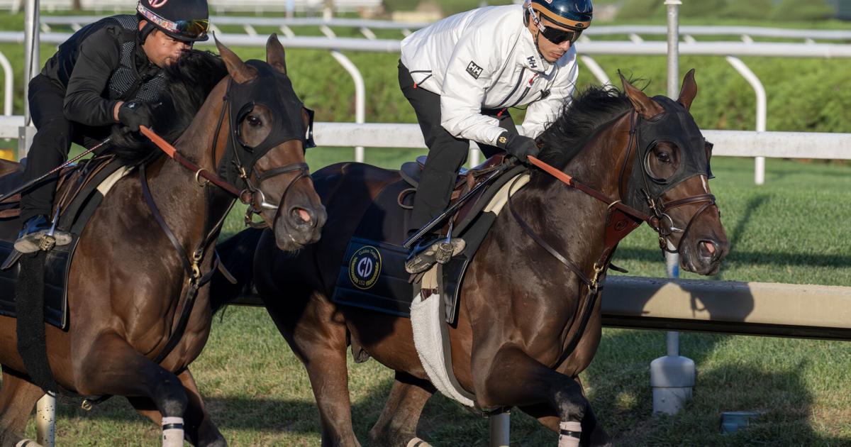 Golden Tempo slight Travers favorite over Renegade