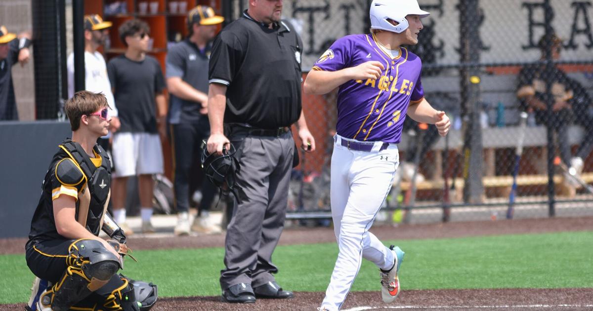 Duanesburg baseball reaches Class D state championship game
