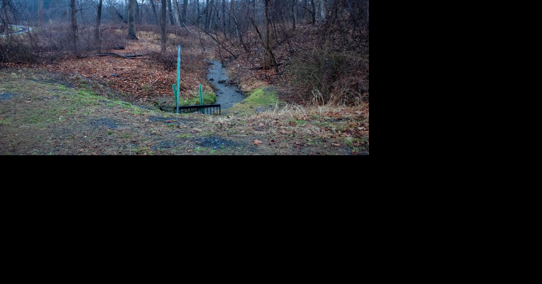 Police: Skeletal human remains found in Hudson | News | dailygazette.com