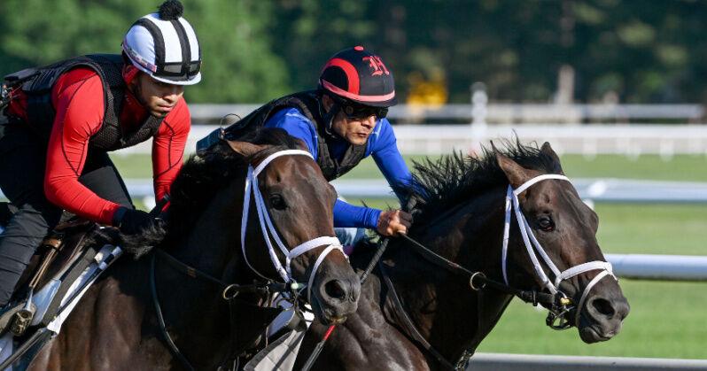 Belmont Stakes Racing Festival at Saratoga: What to Know - Vimarsana News