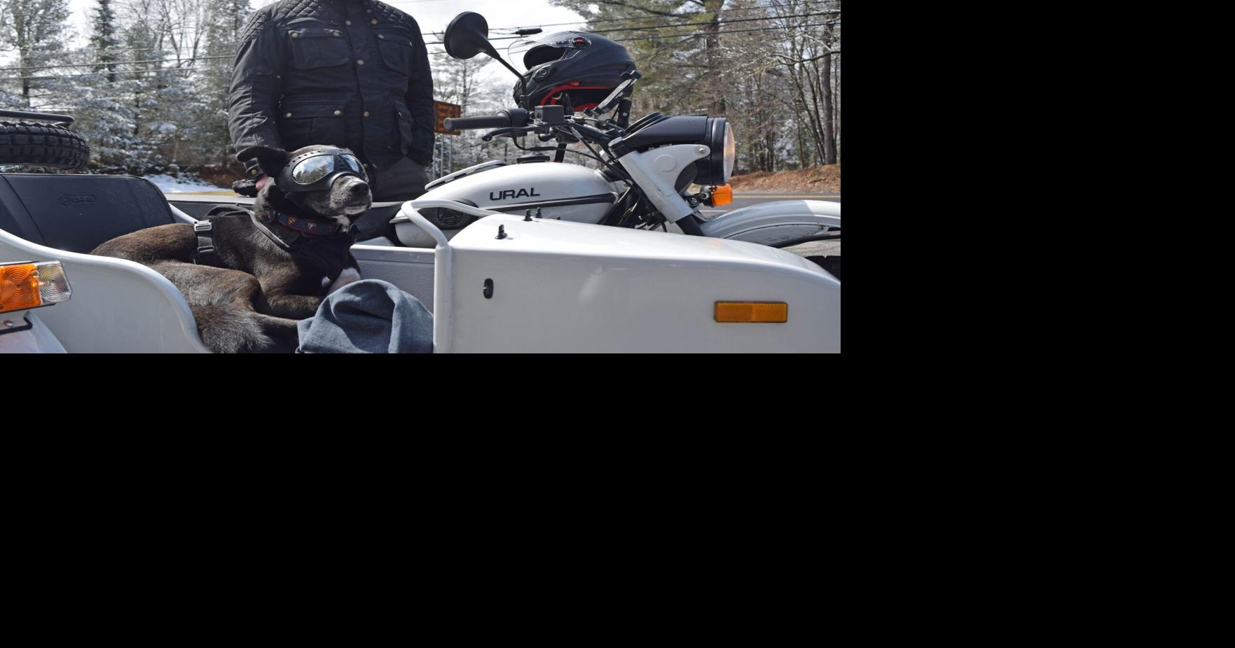 Ruff rider | Local News | dailygazette.com