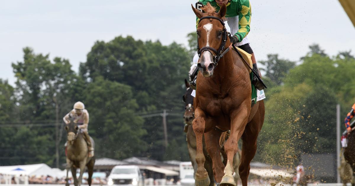 Curlin winner Sea Strike puts himself in Travers picture