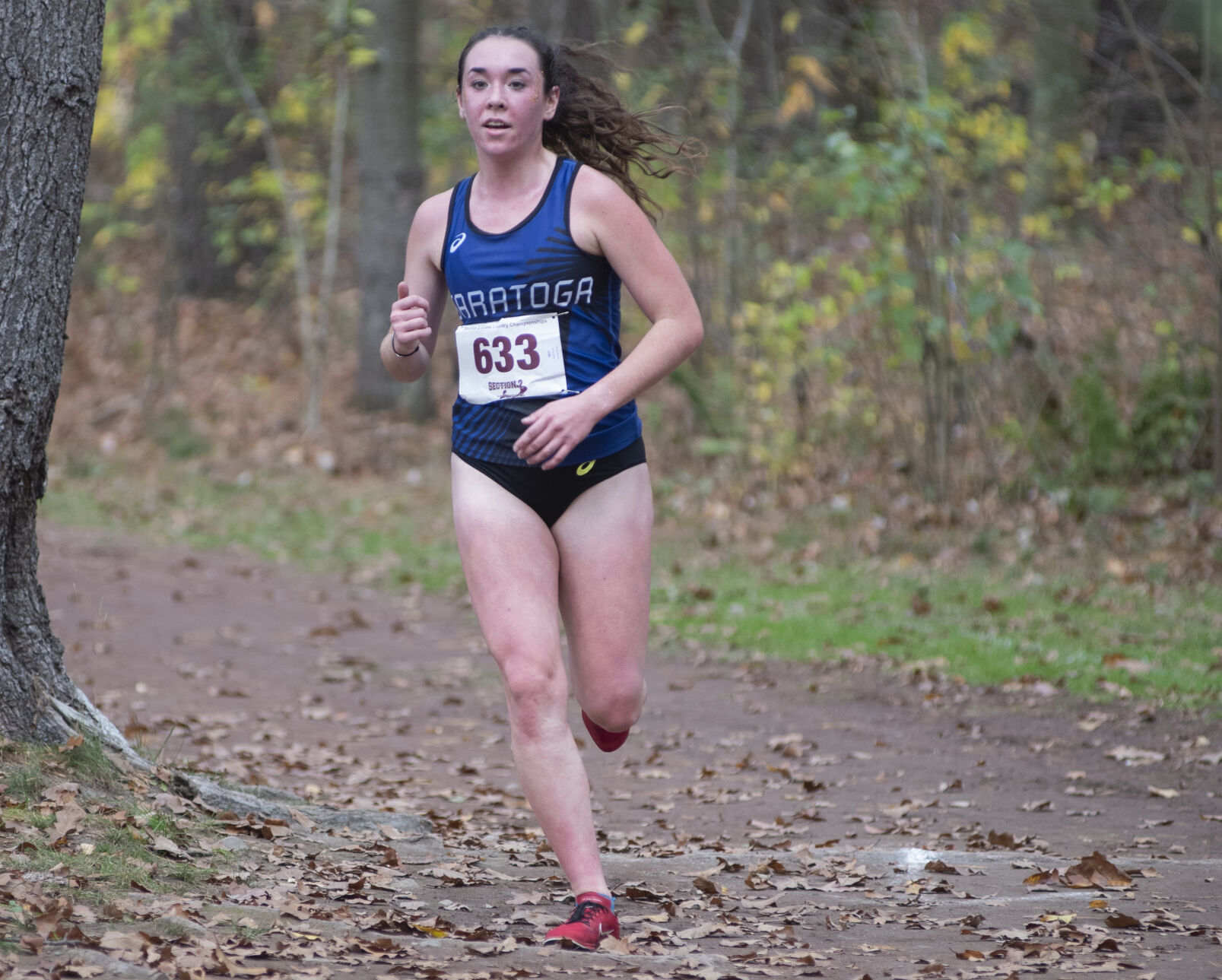 Emily Bush wins NYSPHSAA Class A cross country title as Saratoga