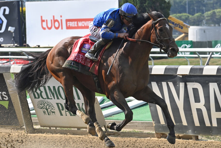 Cody's Wish runs emotional last race in Breeders' Cup at Santa