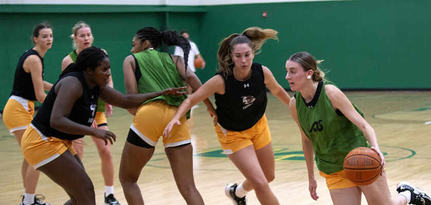 siena women's basketball roster
