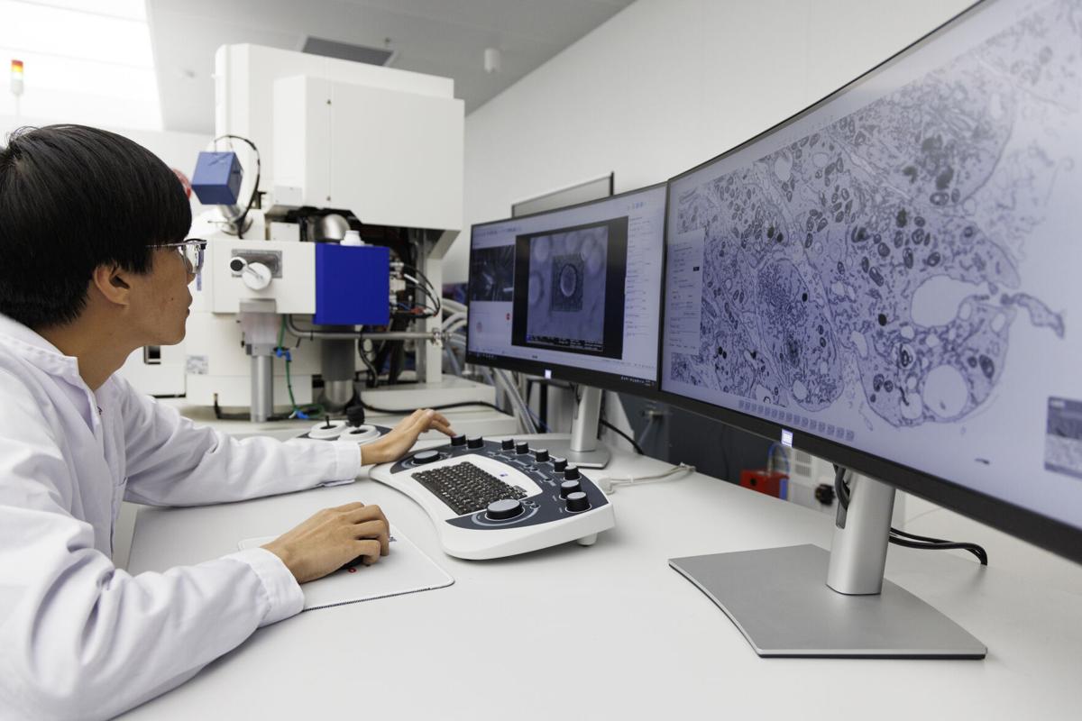 China races to build record biobank to rival US drugs research | Tribune | dailygazette.com