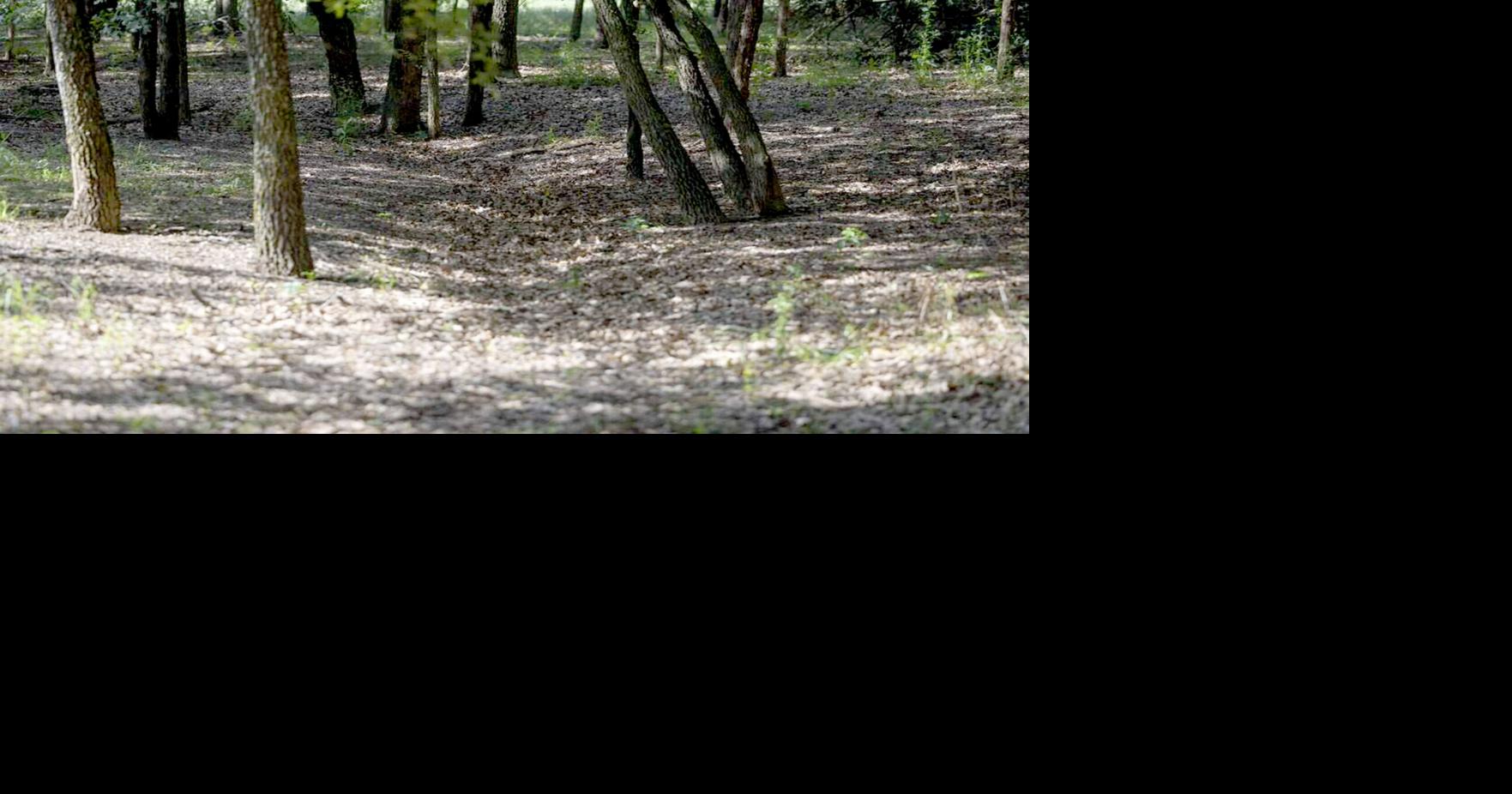 A view of the cemetery shows where erosion is taking place on Saturday, May 9, 2026 in Denton, Texas.