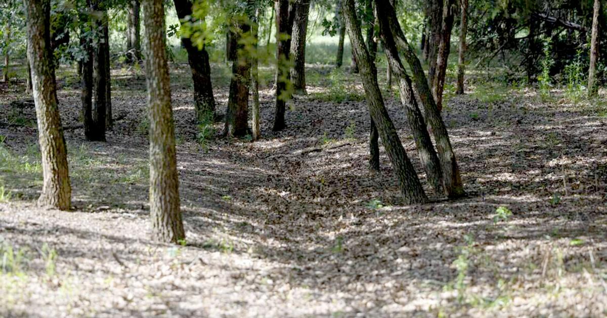 A view of the cemetery shows where erosion is taking place on Saturday, May 9, 2026 in Denton, Texas.