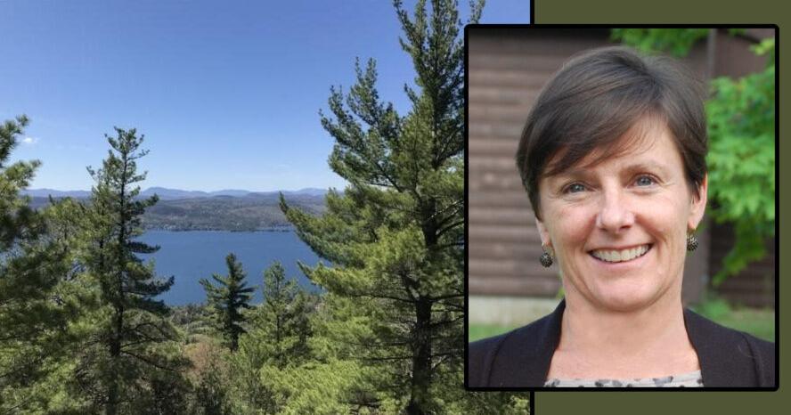 Barbara Rice named head of Adirondack Park Agency | News | dailygazette.com