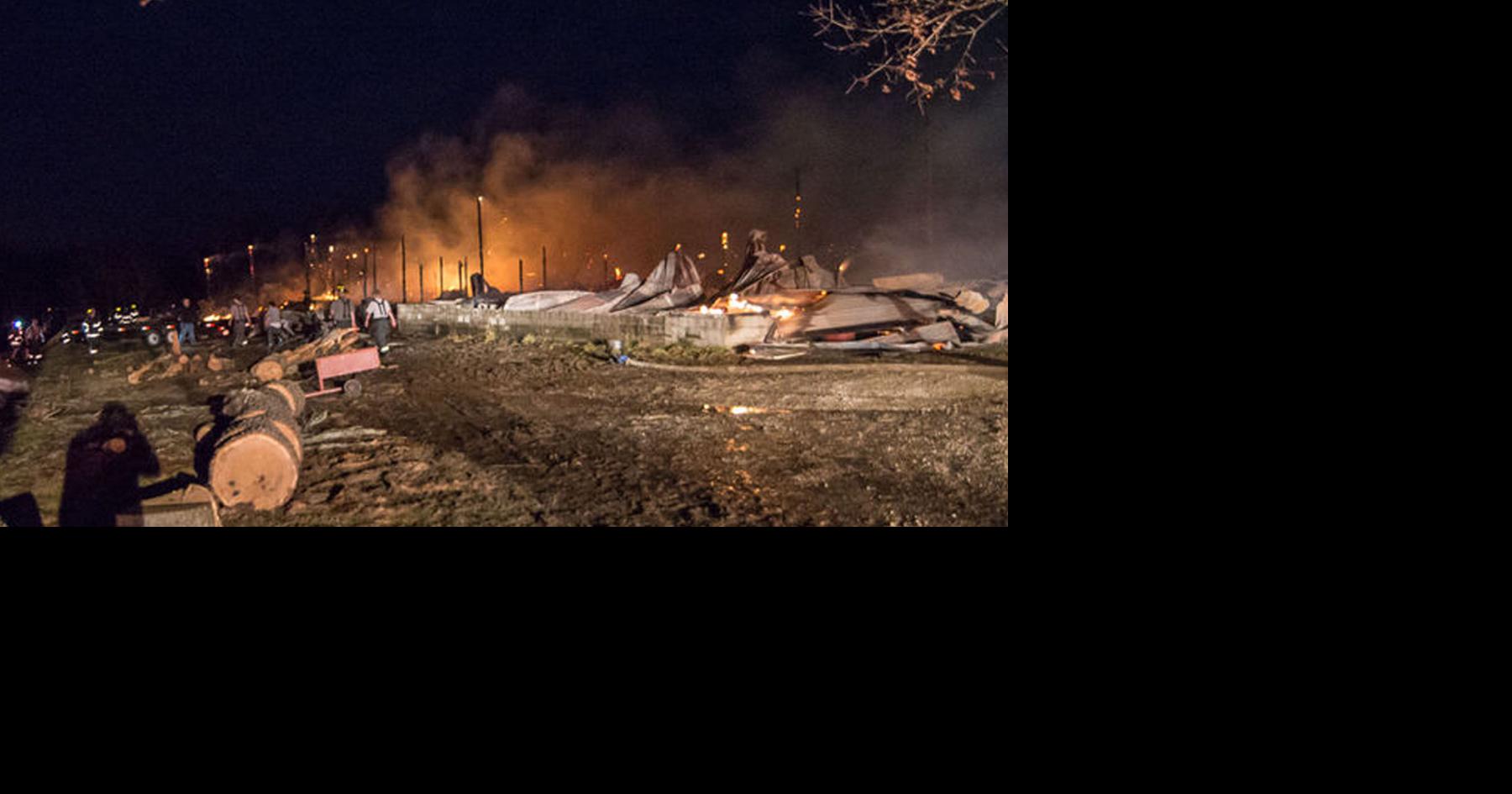 Sad weekend for horse lovers in Olive Hill News