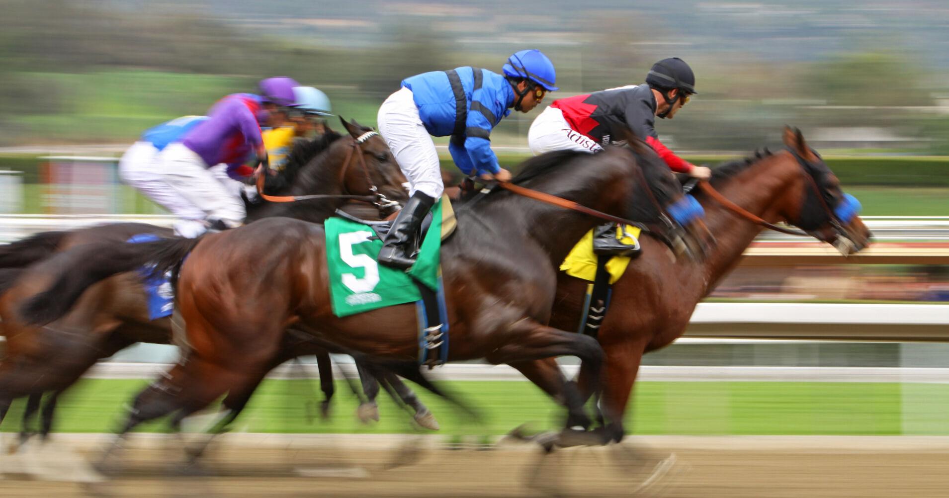 Experience the thrill of Kentucky horse racing - Vimarsana News