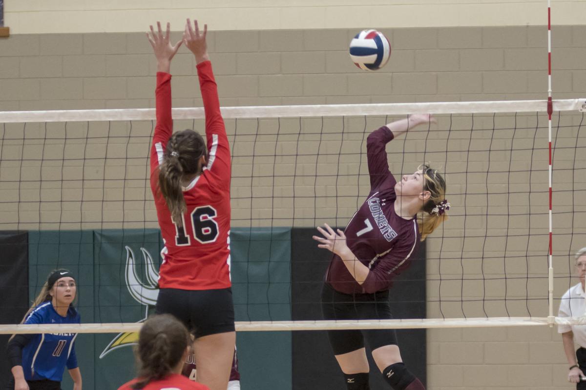Brooklyn Carrol looks for a point at the net.JPG