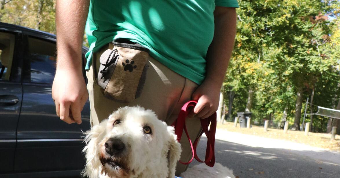 Service Dogs of Eastern Kentucky have plans to grow - The Independent