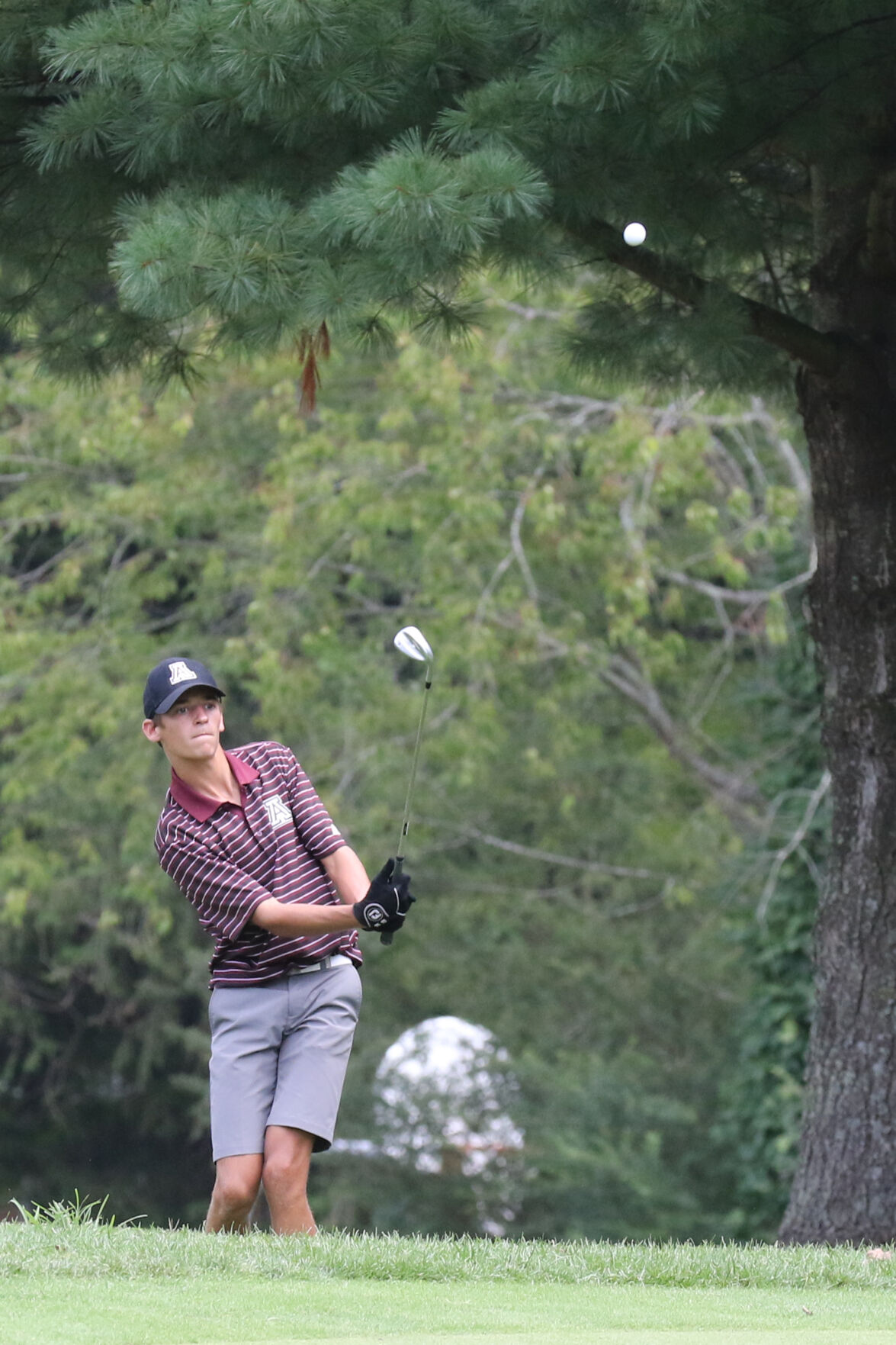 0805 golf-13.jpg