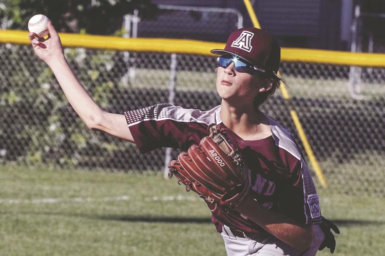 Fields Flowers Ashland Ky Best Flower Site