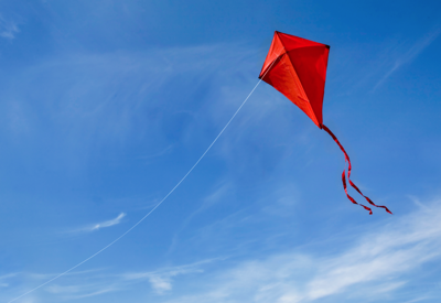 Red kite