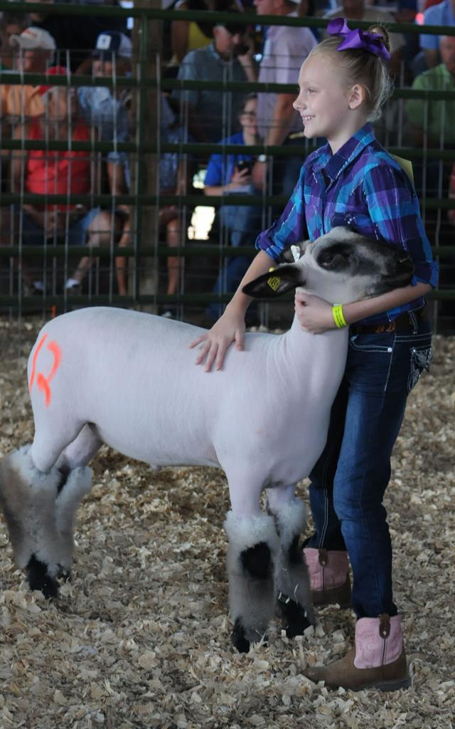 Greenup County Fair starts Tuesday News