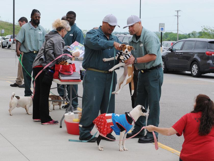 Going home Strays leave shelter with help from prison inmates News