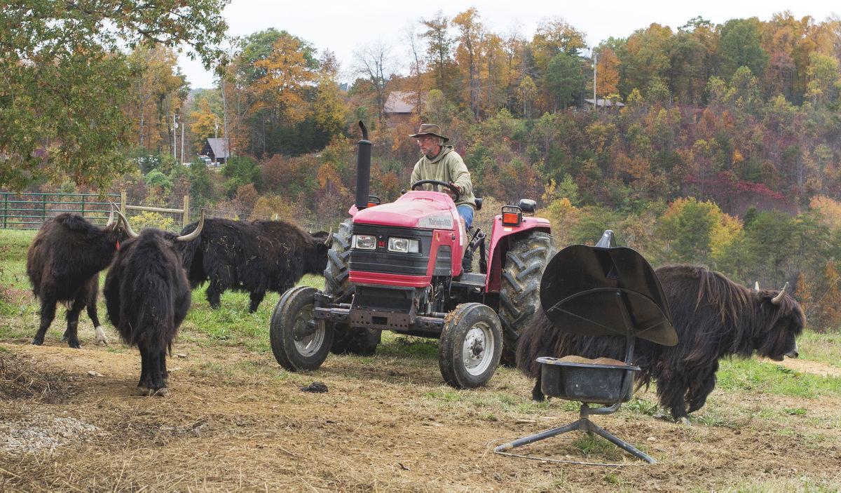 A lot to Yak about News