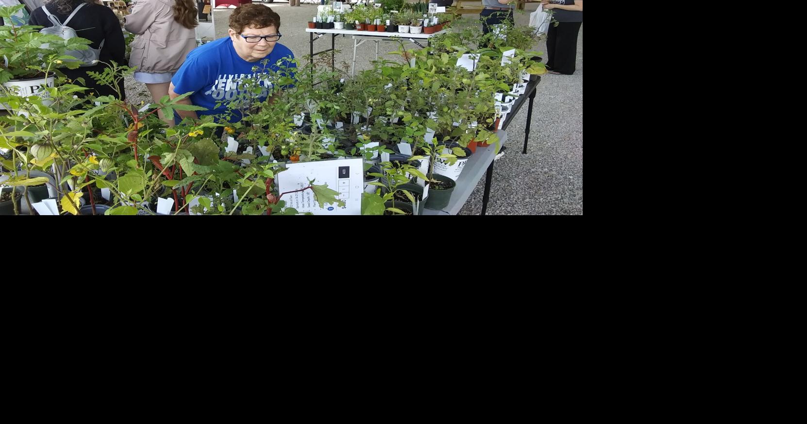 Greenup, Ironton farmers markets open; others to follow | News ...