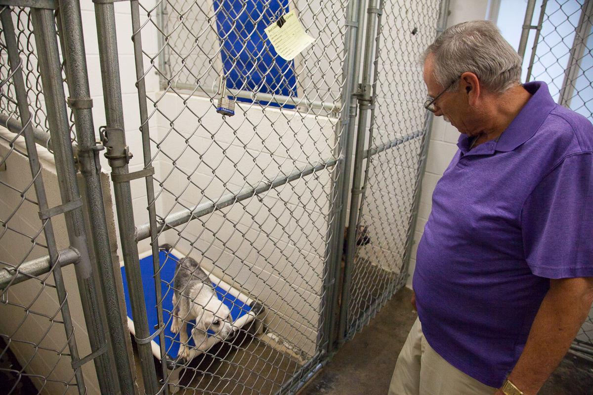 Boyd County planning to build new animal shelter News