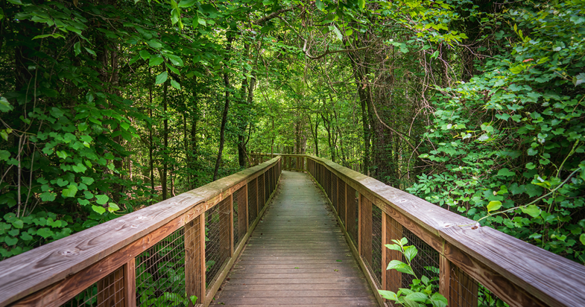 Closest national parks to Bowling Green