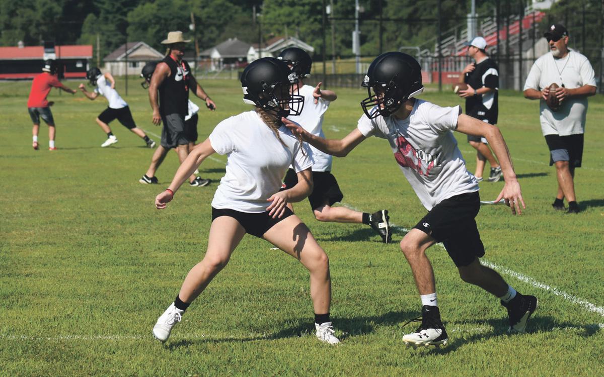 Hot Reads Holmes Right At Home Fairview Sophomore Follows