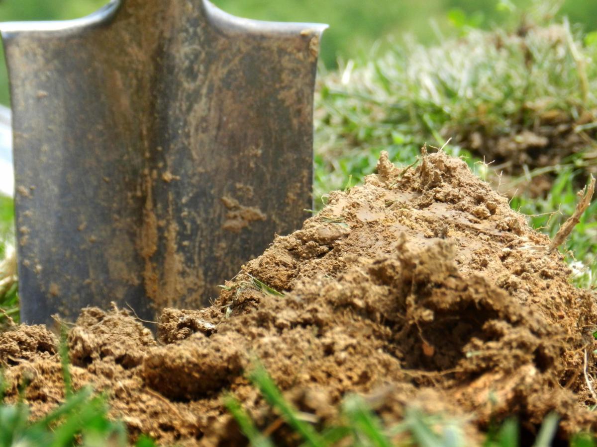 Gardening 101: Garden placement