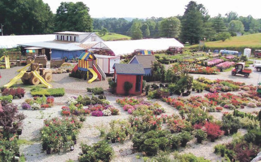 Imel’s Greenhouse Serving the community for 40 years News