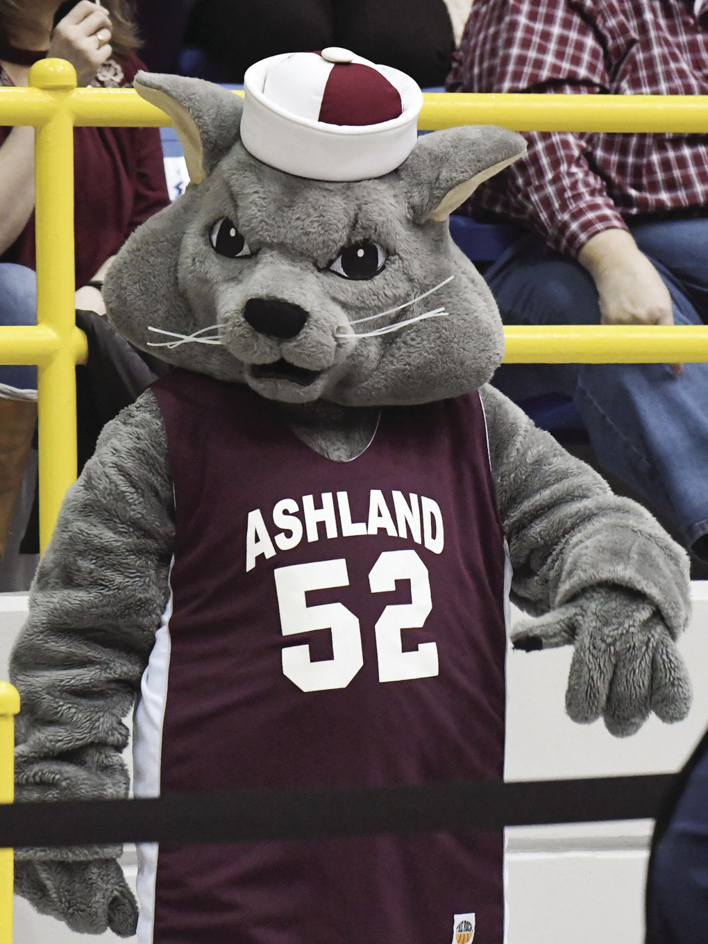 Mascot mania! Jordan Mintz brings Ashland Tomcat to life | News ...