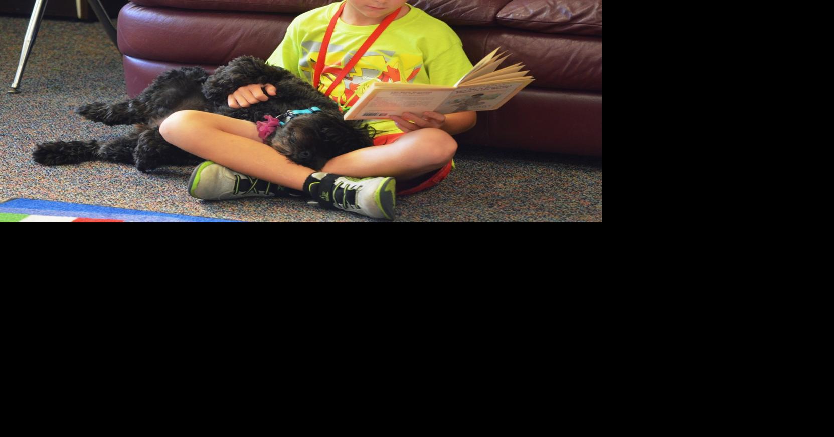 Therapy dog helps students develop love of reading | | dailyindependent.com