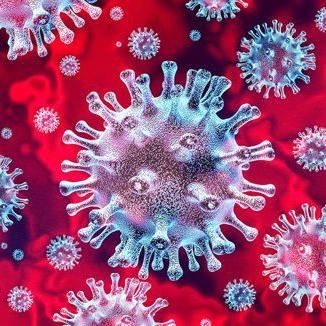 COVID-19 update: Low infection rates - Vimarsana News